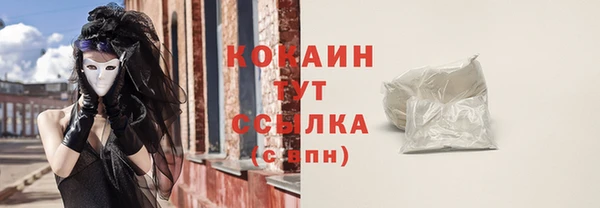 индика Лиски
