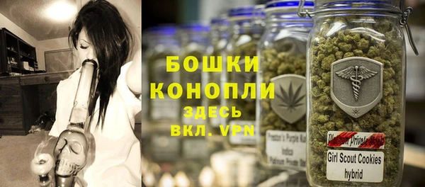 индика Лиски