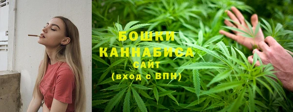 индика Лиски