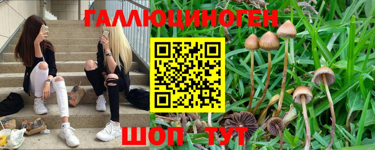 Псилоцибиновые грибы мухоморы Лангепас